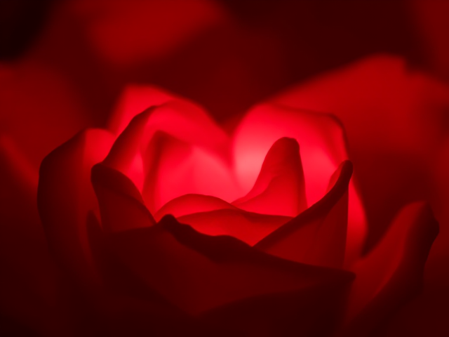 Pochette album,
Rouge cœurs ♥️ fond rouge et rose , 
liquide rouge qui coule du haut de l’écran.
Rose 🌹 la fleur 
Titre écriture (logo) =     love’s feelings
Titre = love’s feelings
love’s feelings love’s feelings love’s feelings