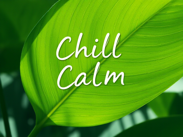 Pochette d’albums, 
Titre :   Chill 
Tranquille, vert, feuille, écriture, 
Style dessin numérique (logo)