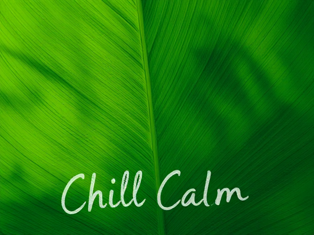 Pochette d’albums, 
Titre :   Chill 
Tranquille, vert, feuille, écriture, 
Style dessin