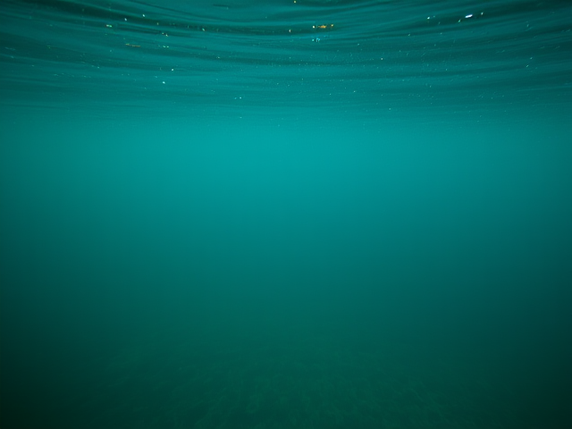 underwater pond background