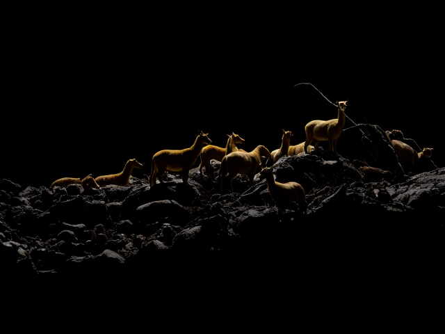 forming materials with Nature animals