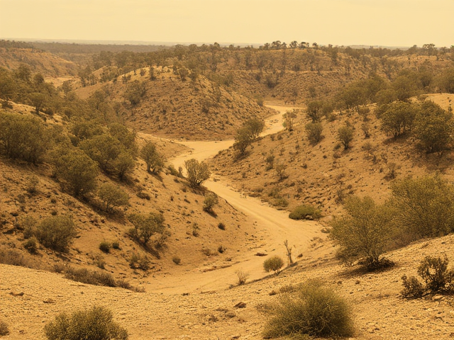 The goldrush goldfields in Australia 1800s