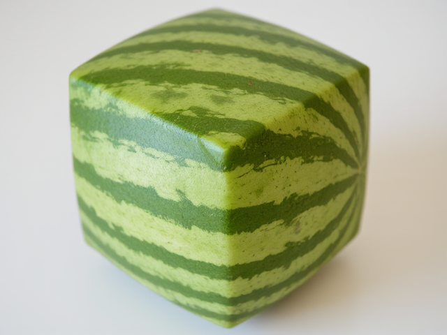 A perfectly cube-shaped watermelon with a green rind and subtle stripes, sitting on a clean surface