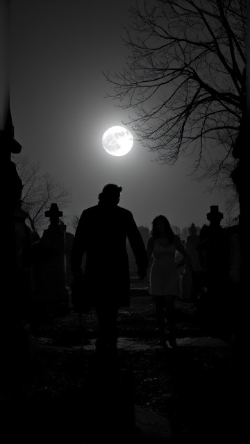 une photo très ancienne en noir et blanc représentant Hellboy (coloré) se promenant main dans la main avec la magnifique Elvira dans un cimetière. l'amour entre les personnages apporte du bonheur au milieu du cimetière lugubre et abandonné. la pleine lune en arrière plan met en valeur leurs silhouettes.
seul Hellboy est en couleur contrastant avec l'image en noir et blanc