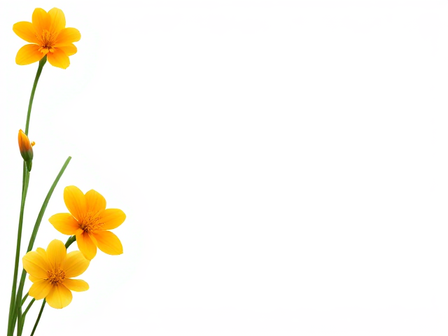 "I need a simple and transparent (PNG) image of several saffron flowers without any borders or extra decorations. The flowers should vary in size and be usable for graphic design projects. I want the flowers to be placed in the corner of a frame or border, similar to the second image I sent, so that the flowers can be positioned neatly in the corner."